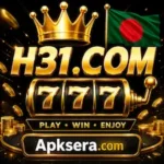 h31