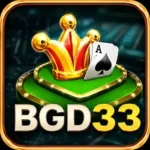 bgd33