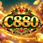 c880